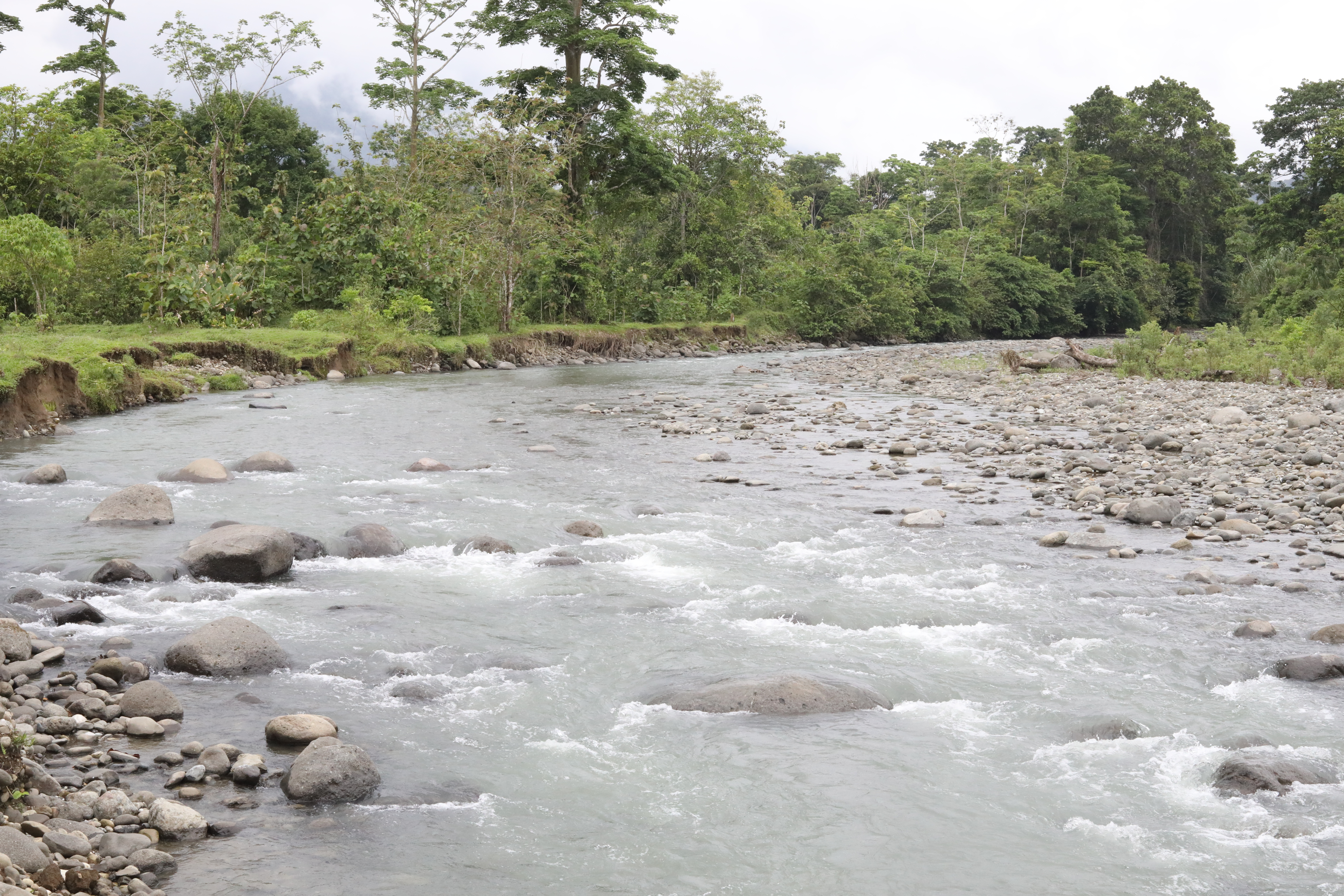 Carepa, Antioquia: Un Destino Turístico Sostenible, Rico en Historia y Tradición